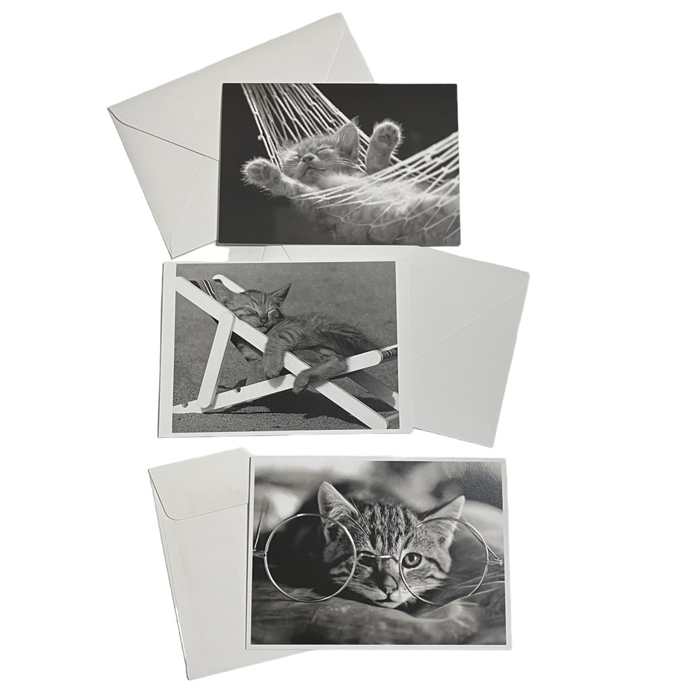 Classic Cats Graphique De France David McEnery Blank Cards w Envelopes Lot of 3